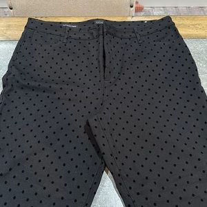 Talbots soho 5 pocket Jeggings, black with velvet dots